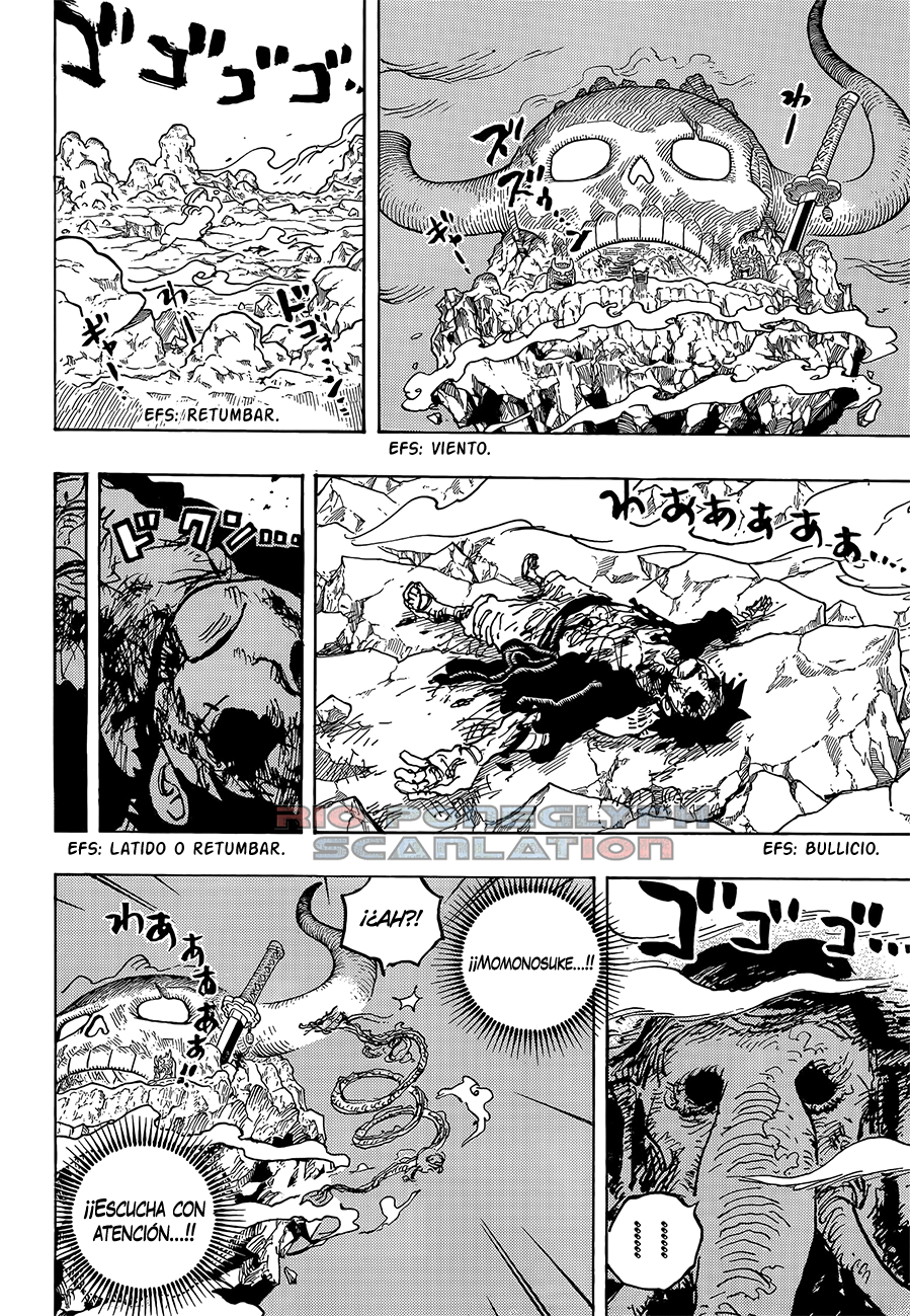 One Piece capítulo 1043 - página 14