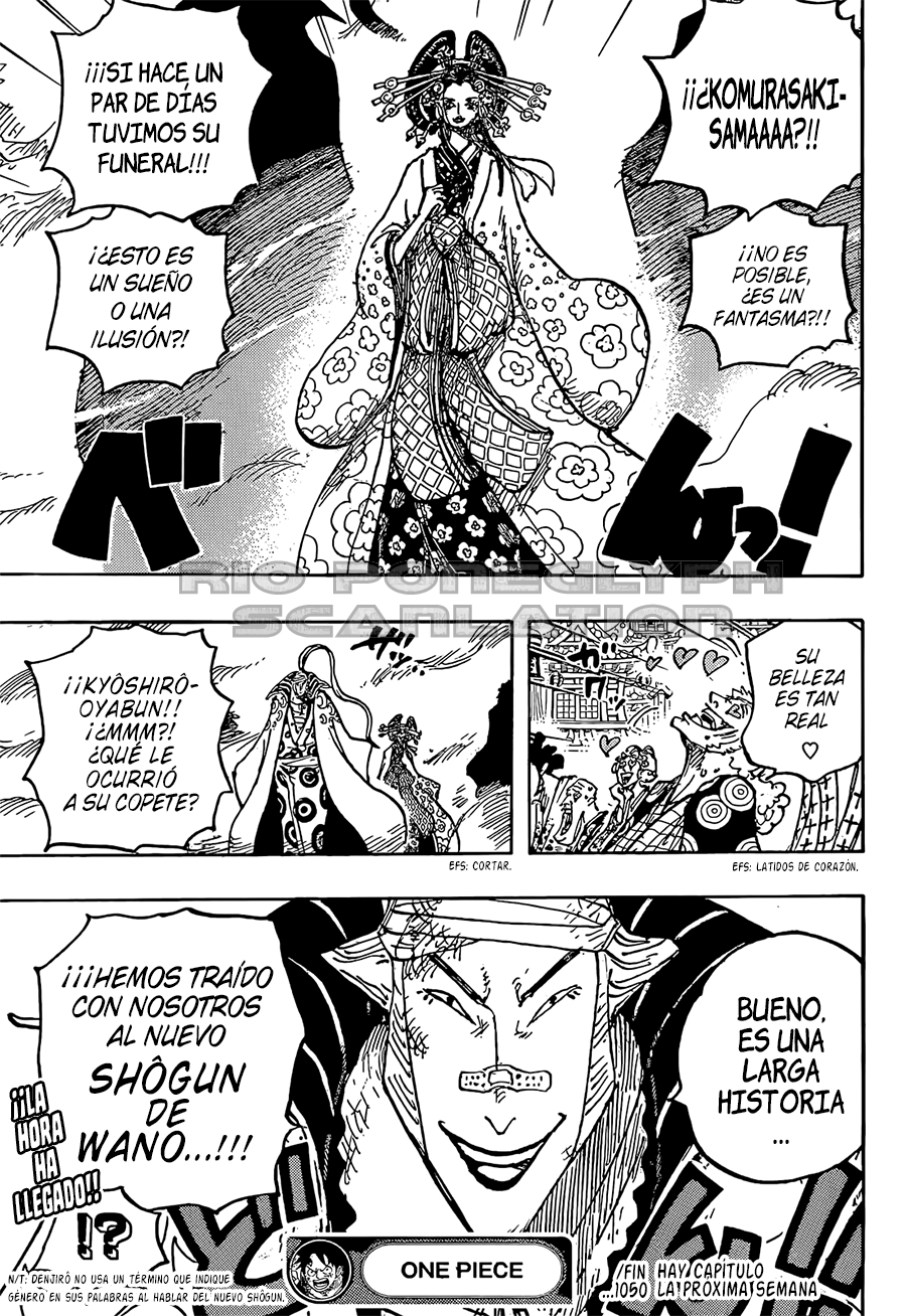 One Piece capítulo 1050 - página 14