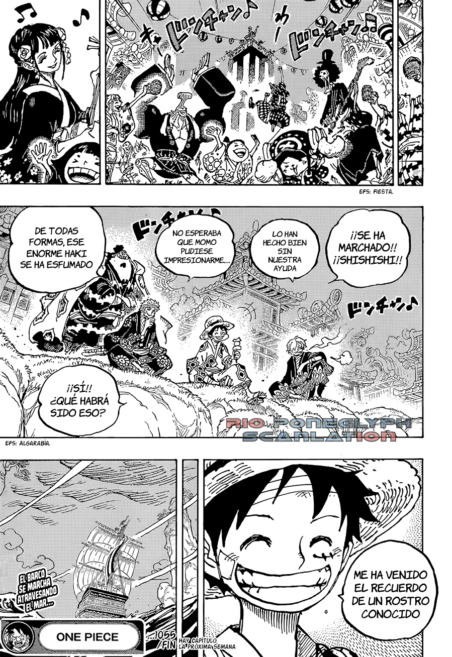 One Piece capítulo 1055 - página 15