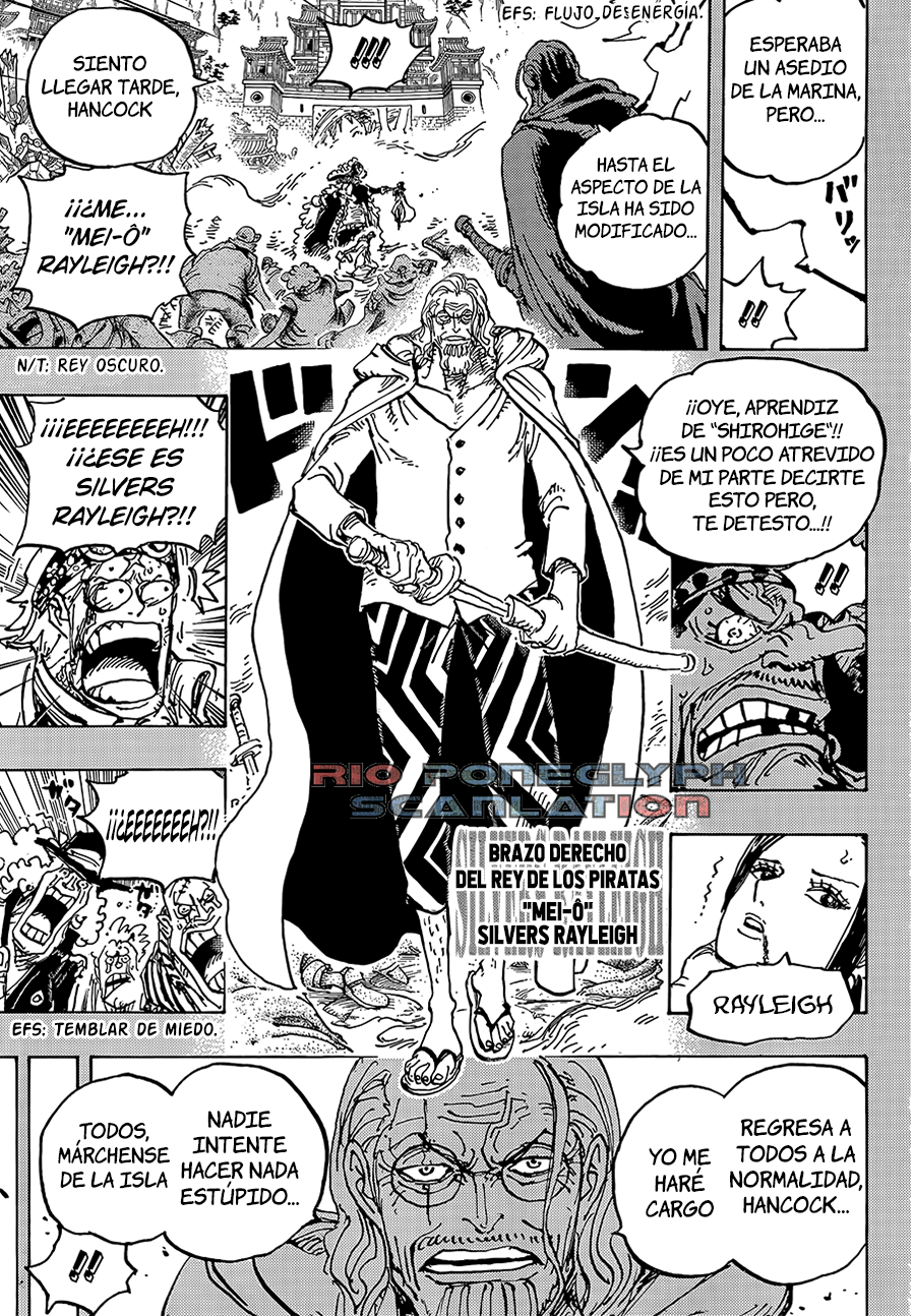 One Piece capítulo 1059 - página 14
