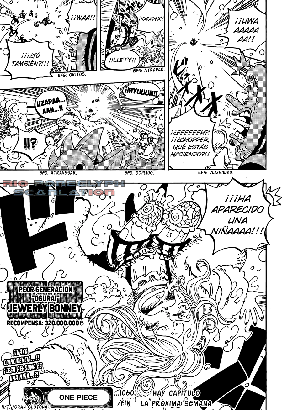 One Piece capítulo 1060 - página 15