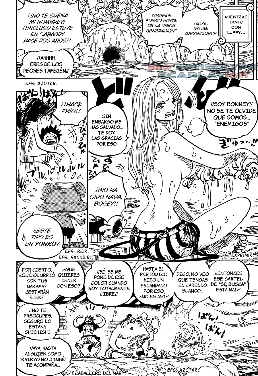 One Piece capítulo 1061 - página 10