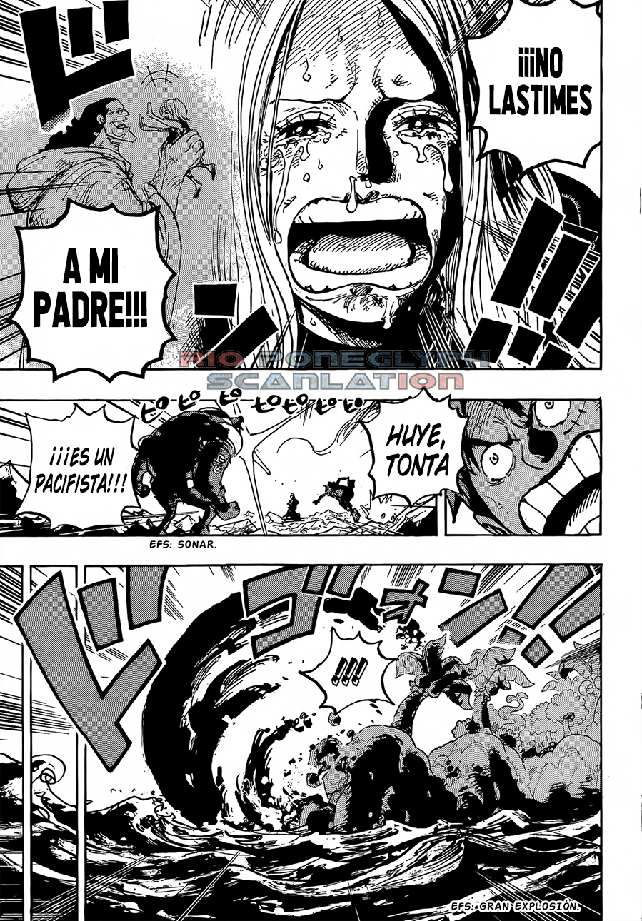 One Piece capítulo 1063 - página 8