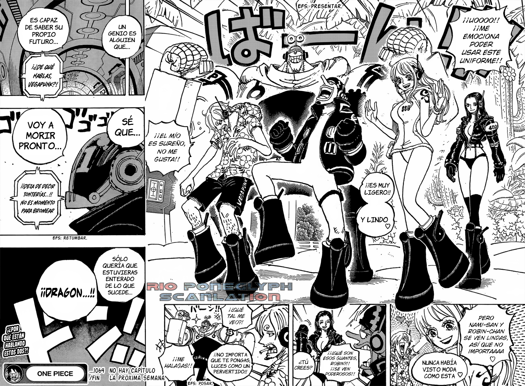 One Piece capítulo 1064 - página 14