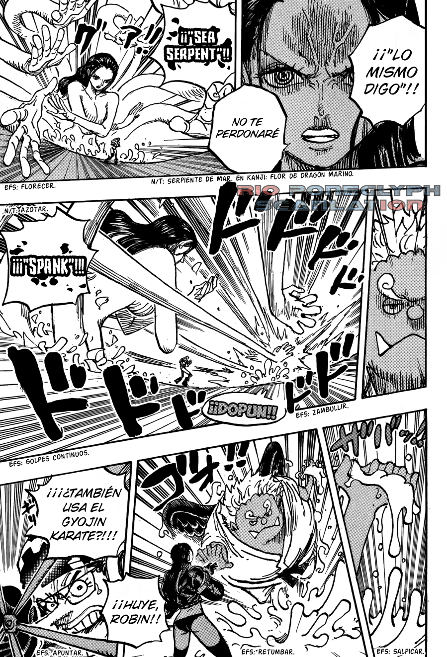 One Piece capítulo 1065 - página 10