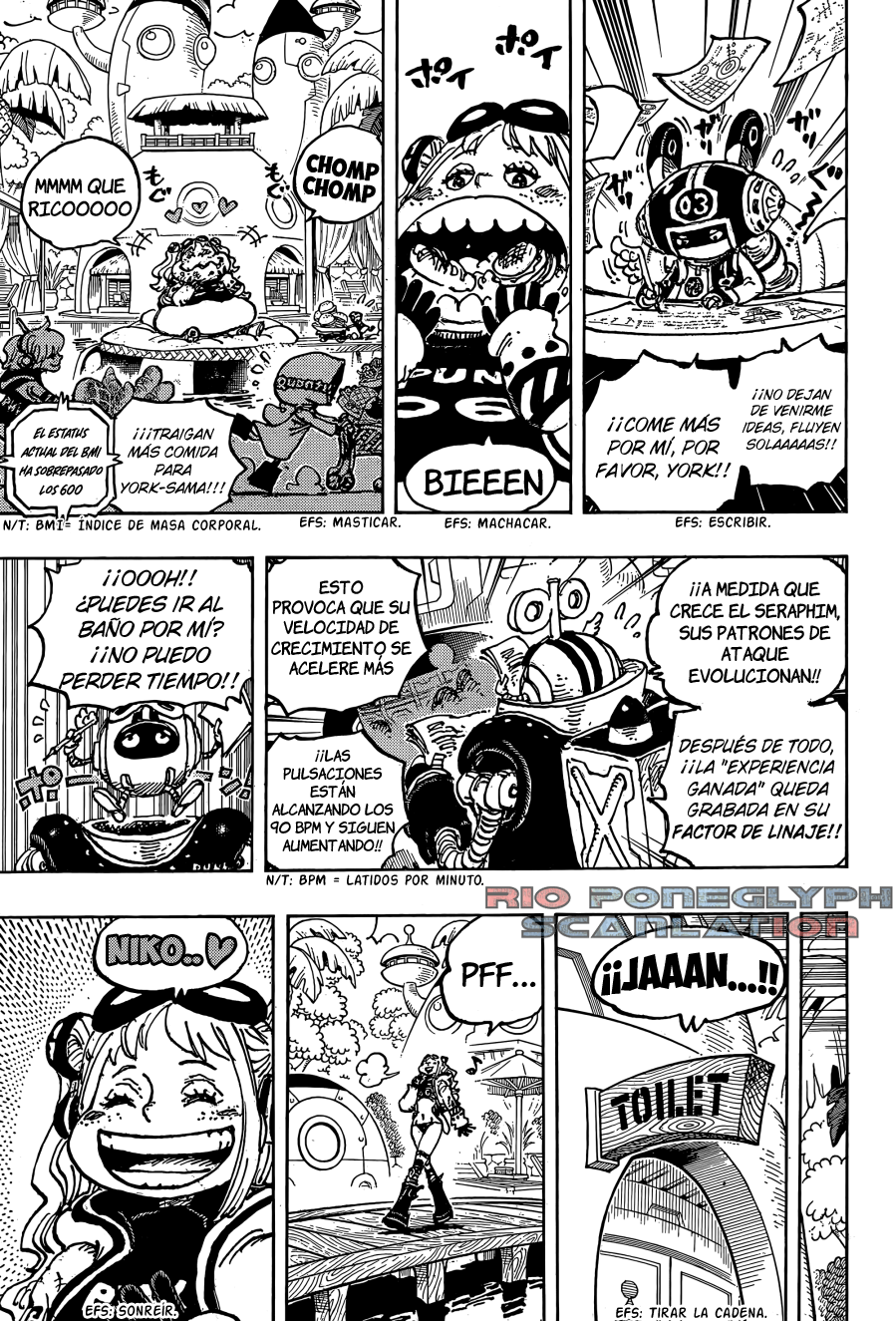 One Piece capítulo 1065 - página 14