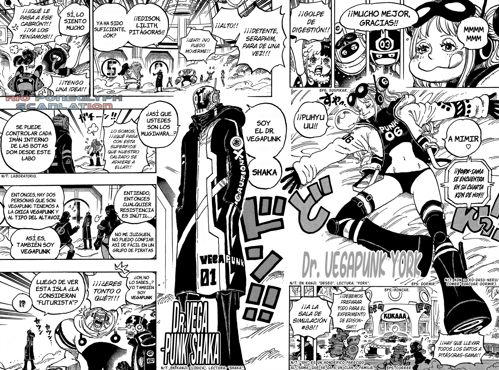 One Piece capítulo 1065 - página 15