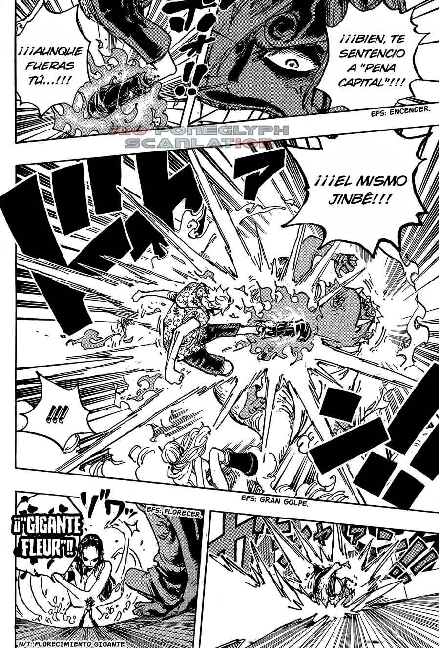 One Piece capítulo 1065 - página 9