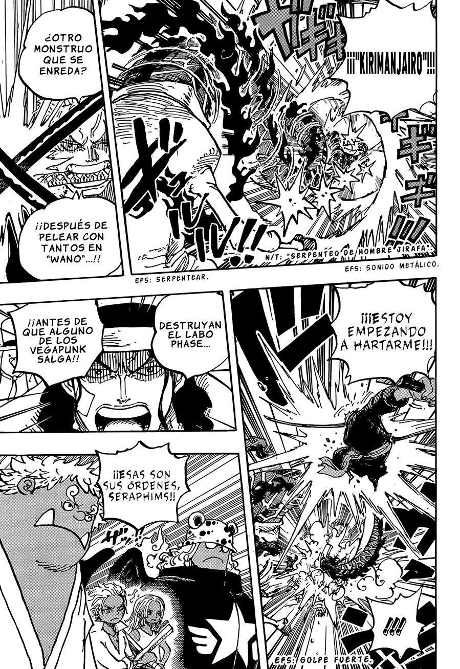 One Piece capítulo 1072 - página 14