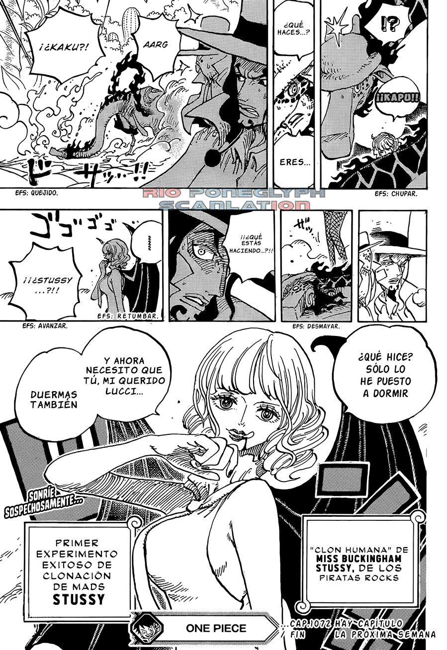 One Piece capítulo 1072 - página 16
