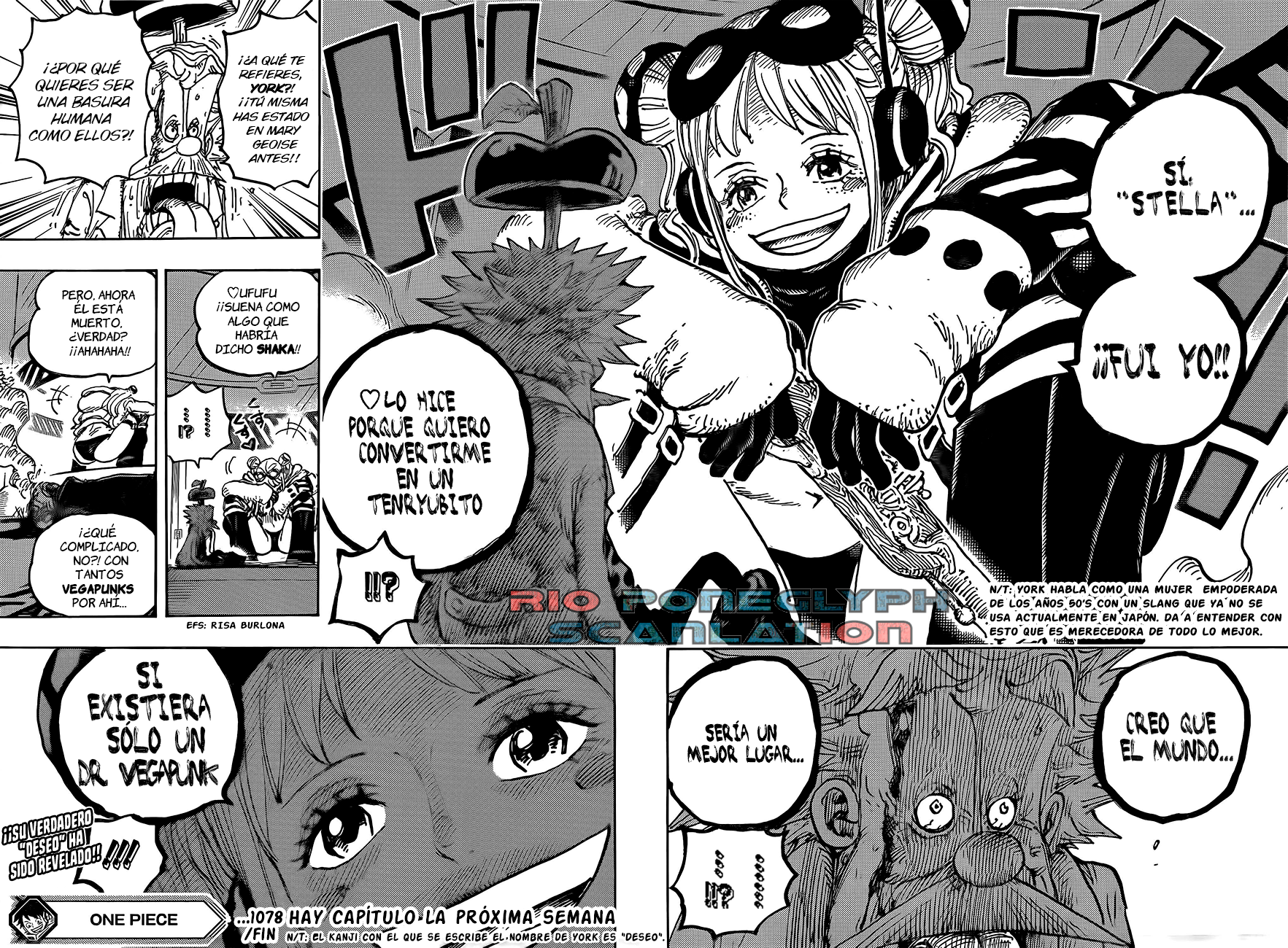 One Piece capítulo 1078 - página 14