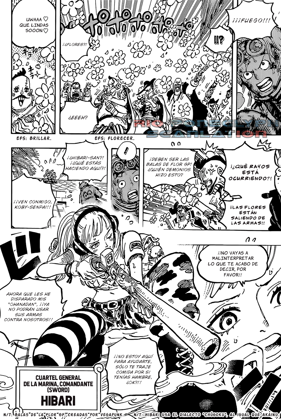 One Piece capítulo 1080 - página 13