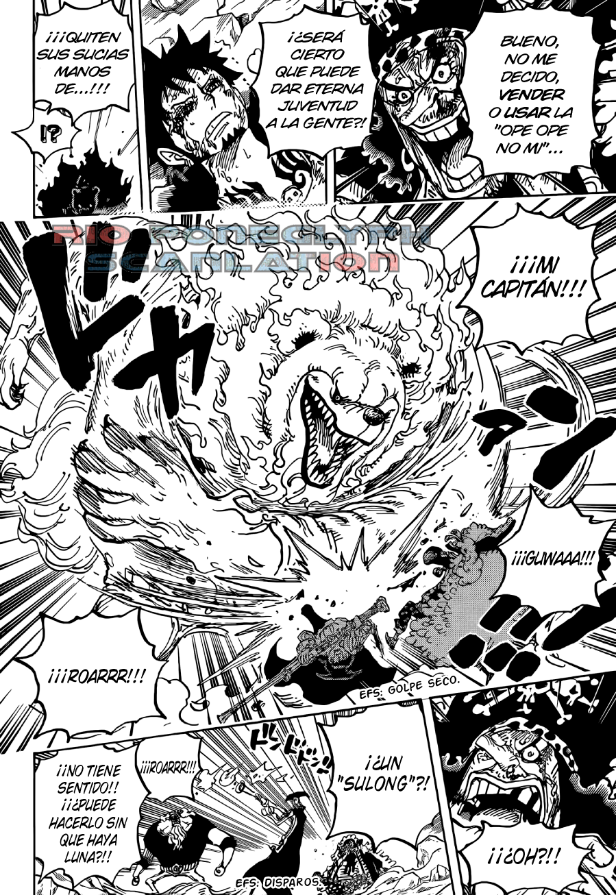 One Piece capítulo 1081 - página 13