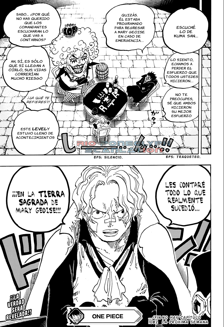 One Piece capítulo 1082 - página 14