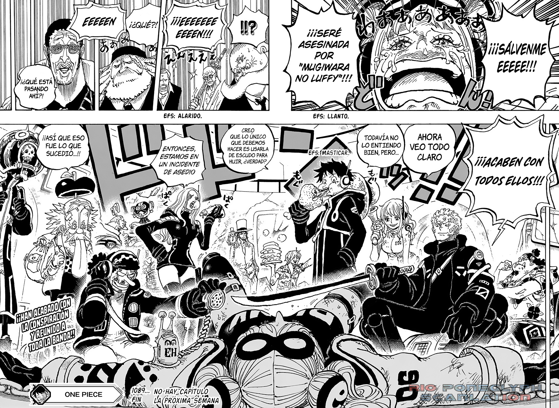 One Piece capítulo 1089 - página 15
