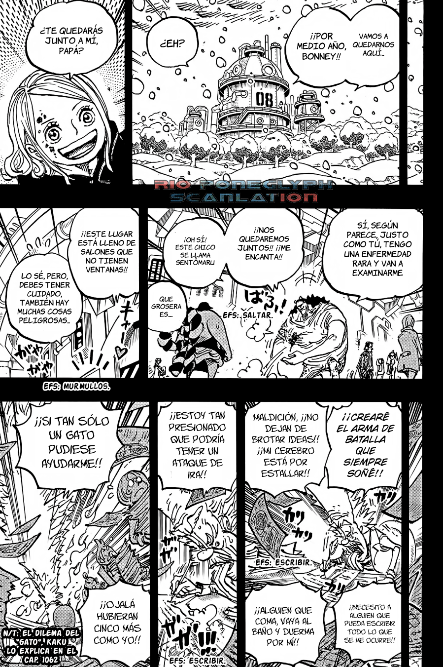 One Piece capítulo 1100 - página 9
