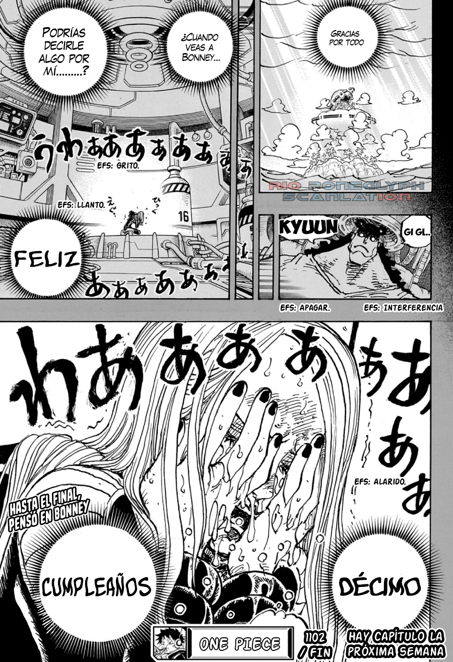 One Piece capítulo 1102 - página 17