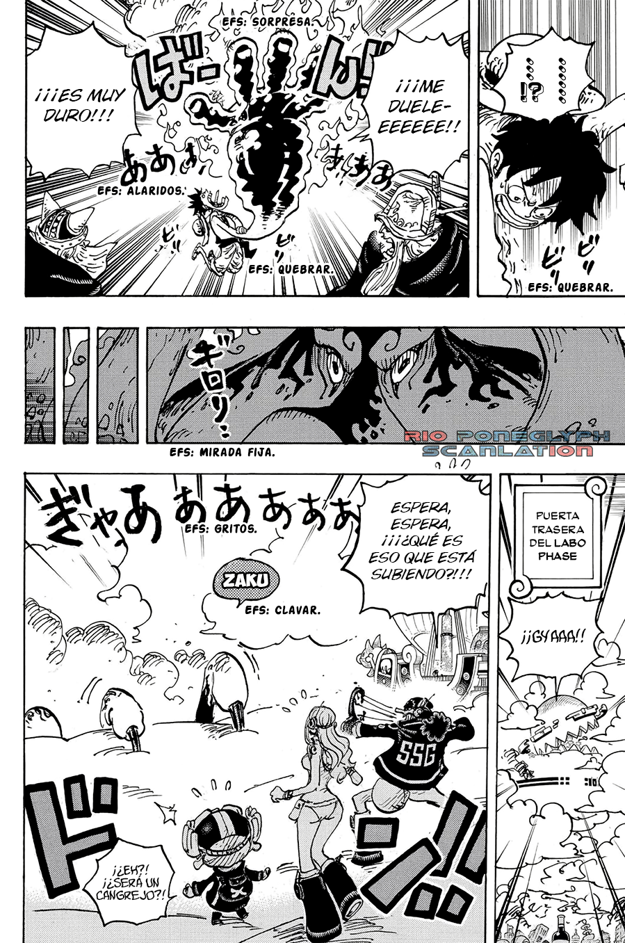 One Piece capítulo 1112 - página 14