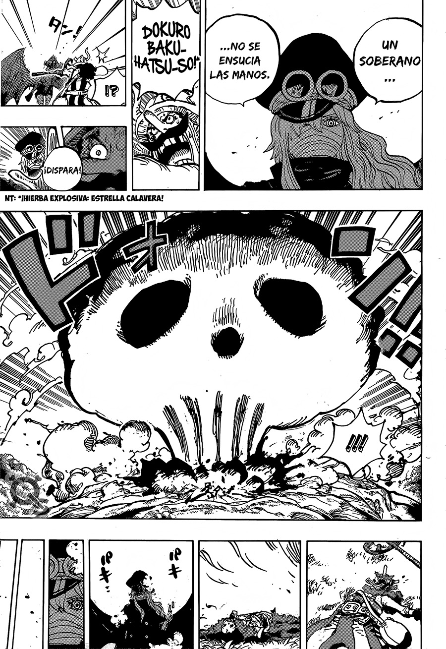One Piece capítulo 1177 - página 15